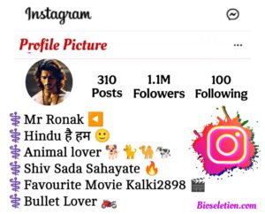 Instagram Bio For Hindu Boys 