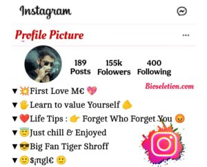 Attitude Bio For Instagram For Boys