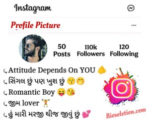 Instagram Bio In Gujarati Attitude
