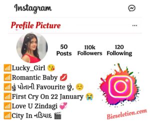 Instagram Bio In Gujarati For Girls