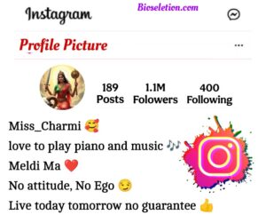 Instagram Bio For Ma Meldi Bhakt 