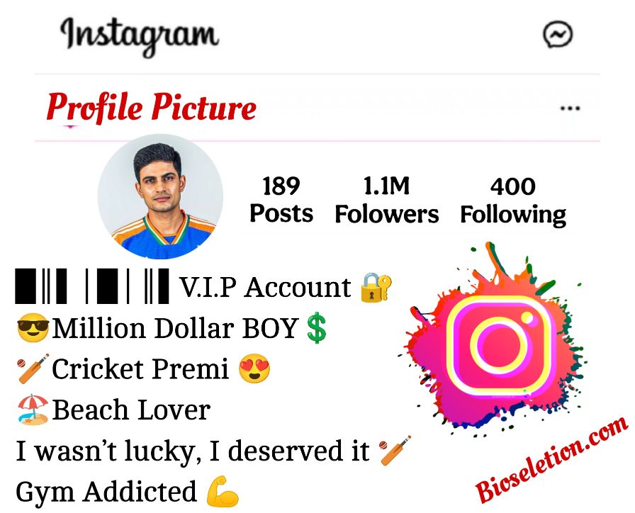 Cricket Lover Bio For Instagram